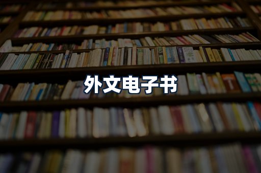 外文电子书